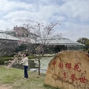 广州旅游 缩略图 5