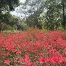 广州旅游 缩略图 2
