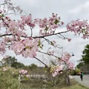 广州旅游 缩略图 6