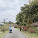 广州旅游 缩略图 3