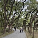 广州旅游 缩略图 14