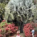 广州旅游 缩略图 13