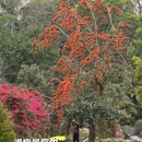 广州旅游 缩略图 15