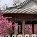 大理州旅游 缩略图 2