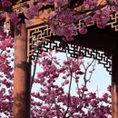 大理州旅游 缩略图 3