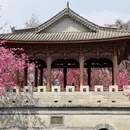 大理州旅游 缩略图 1