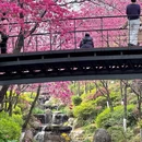 大理州旅游 缩略图 3