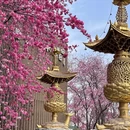 大理州旅游 缩略图 8