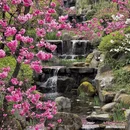 大理州旅游 缩略图 2