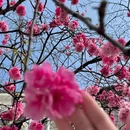 大理州旅游 缩略图 11