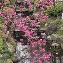 大理州旅游 缩略图 5