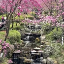 大理州旅游 缩略图 9
