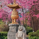 大理州旅游 缩略图 18