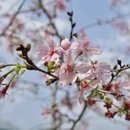 广州旅游 缩略图 3