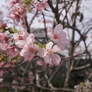 广州旅游 缩略图 5