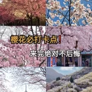 广州旅游 缩略图 1