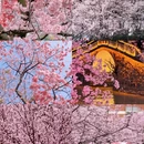 广州旅游 缩略图 2