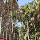 广州旅游 缩略图 2