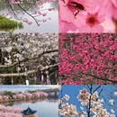 广州旅游 缩略图 3