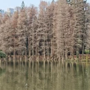 广州旅游 缩略图 17
