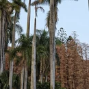 广州旅游 缩略图 16