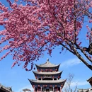 大理州旅游 缩略图 1