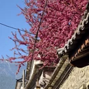 大理州旅游 缩略图 10