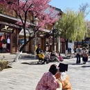 大理州旅游 缩略图 5