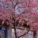 大理州旅游 缩略图 9