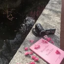 大理州旅游 缩略图 3