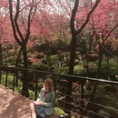 大理州旅游 缩略图 2