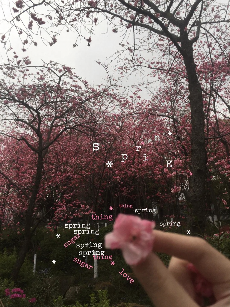 大理州旅游