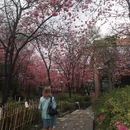 大理州旅游 缩略图 5