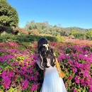 深圳旅游 缩略图 2