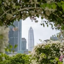 深圳旅游 缩略图 9