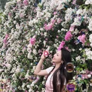 深圳旅游 缩略图 2