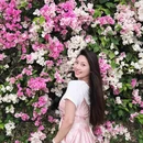 深圳旅游 缩略图 1