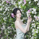 深圳旅游 缩略图 2
