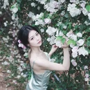 深圳旅游 缩略图 6