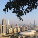 深圳旅游 缩略图 5