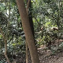 深圳旅游 缩略图 9