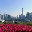 深圳旅游 缩略图 1