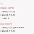 深圳旅游 缩略图 7