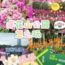 深圳旅游 缩略图 1