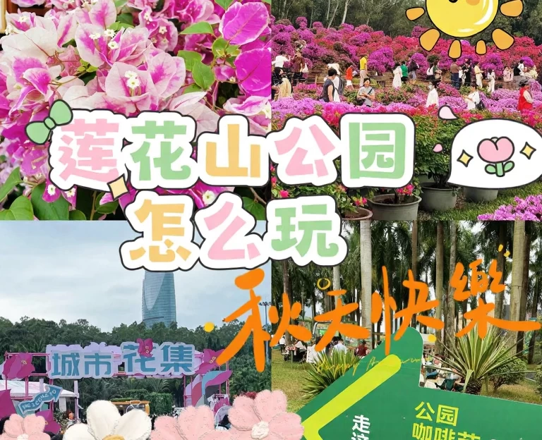 深圳旅游 1