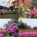 深圳旅游 缩略图 3