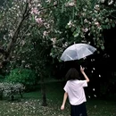 广州旅游 缩略图 1