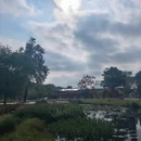 广州旅游 缩略图 6