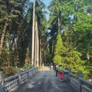 广州旅游 缩略图 2