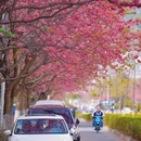 大理州旅游 缩略图 3